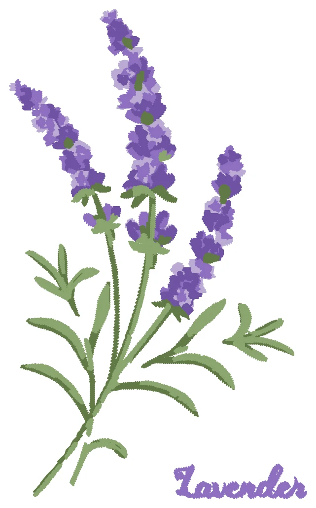 Lavender nakış modeli