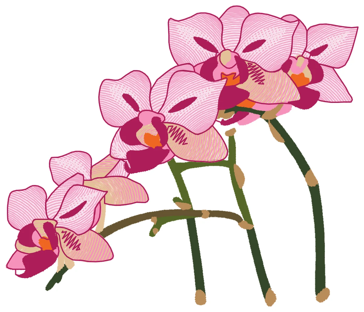 Pembe Orkide Dalı nakış modeli
